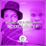 Artwork for "Ndixolele"