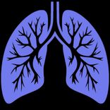 Artwork for "INHALATION"