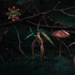 Artwork for "2 Sides"