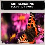Artwork voor "Eclectic Flying"