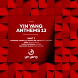 Artwork for "Yin Yang Anthems 13: Part 2"