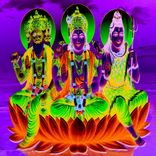 Artwork voor "India"