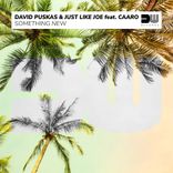 Artwork voor "Something New"