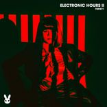 Artwork for "Electronic Hours II"