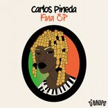 Artwork voor "Fina EP"