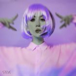 Artwork für "Steve"