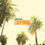 Phantoms In The Mist