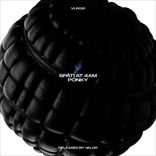 Portada para "Späti at 4 am"