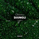 Portada para "Djungli"