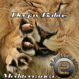 Artwork für "Mediterranea"