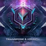 Artwork voor "Higher State"