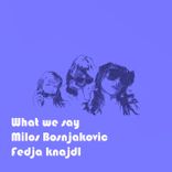 Milos Bosnjakovic - What We Say