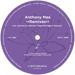 Artwork for "Remixes"