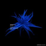 Artwork voor "P.A.A.T."