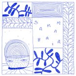 Artwork for "Samambaia"