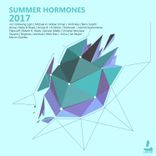 Artwork for "Summer Hormones"