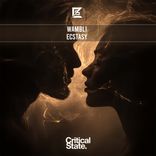 Artwork for "Ecstasy"