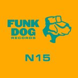 Artwork für "N15"