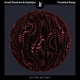 Portada para "Troubled Sleep"