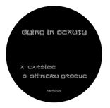 Artwork voor "Capsize / Shimeru Groove"