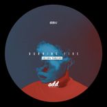 Artwork voor "Burning Fire"