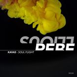Artwork voor "Soul Flight"