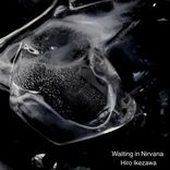 Artwork for "Waiting in Nirvana"