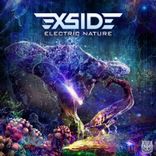 Artwork for "Electric Nature"