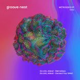 Artwork voor "Metrodisco"