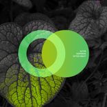 Artwork voor "Morning After Night"