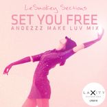 Artwork voor "Set You Free (Andezzz Make Luv Mix)"