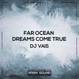 Artwork voor "Far Ocean / Dreams Come True"
