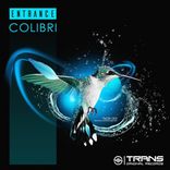 Colibri
