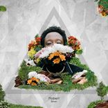 Artwork for "Flobert"