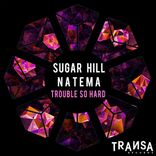 Artwork for "Trouble So Hard"