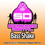 Artwork voor "Bass Shake"