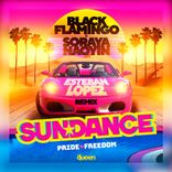 Artwork for "Sundance"