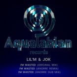 Portada para "I'm Wasted"