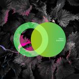 Artwork for "Shadows"