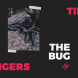 Artwork voor "The Bug"