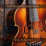 Artwork for "Contrabass Serenade"