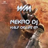 Artwork for "Half Life"