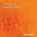 Soul Protocol