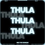 Artwork for "Thula Thula"