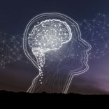 Portada para "Brain Activation"