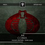 Artwork for "Cobra"