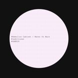 Artwork voor "Remolino Cabinet: Water On Mars"