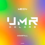 Artwork for "Downfall"