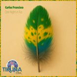 Artwork für "One Night In Rio"