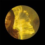 Artwork for "After the Night"